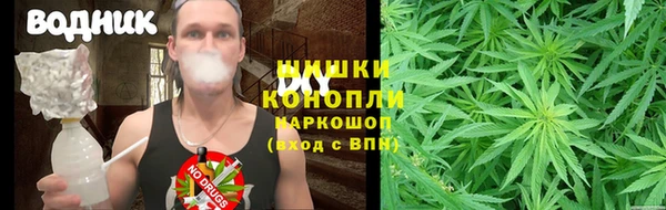 бошки Пересвет
