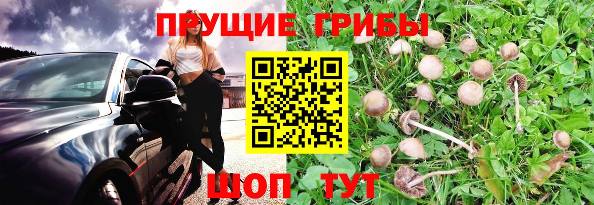 Псилоцибиновые грибы мухоморы Лиски