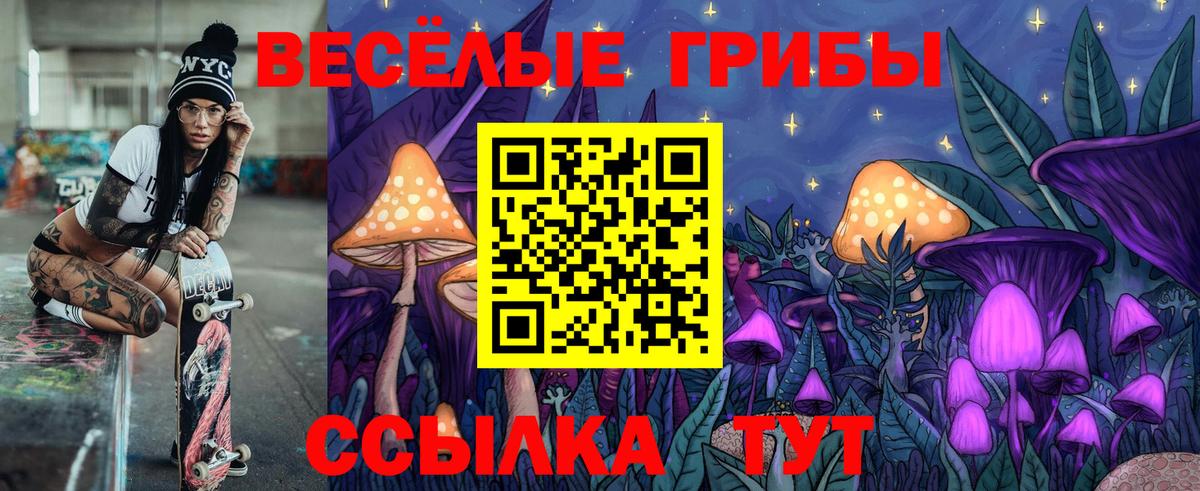 Псилоцибиновые грибы Psilocybine cubensis  Вход с VPN  Лиски 